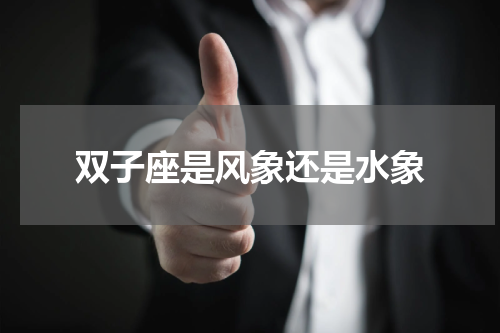 双子座是风象还是水象