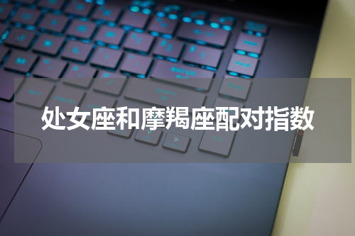 处女座和摩羯座配对指数