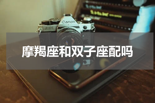 摩羯座和双子座配吗