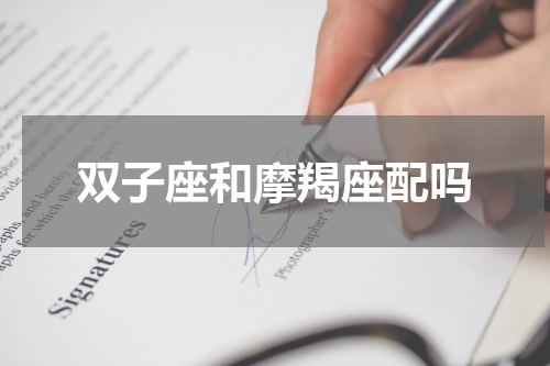 双子座和摩羯座配吗