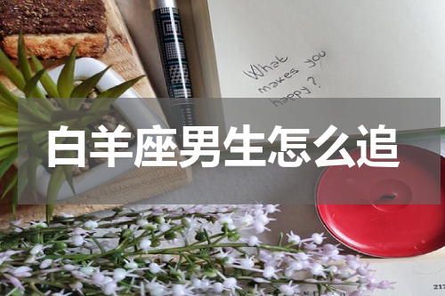 白羊座男生怎么追