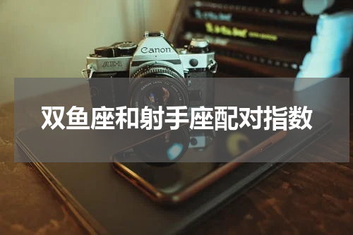 双鱼座和射手座配对指数