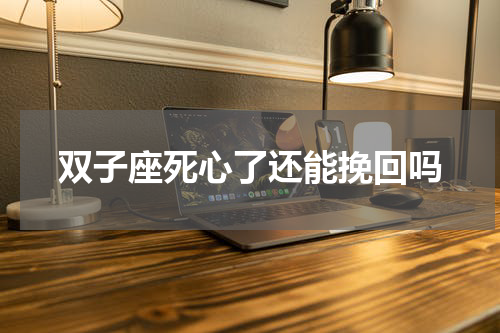 双子座死心了还能挽回吗