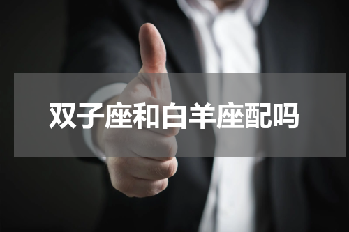 双子座和白羊座配吗