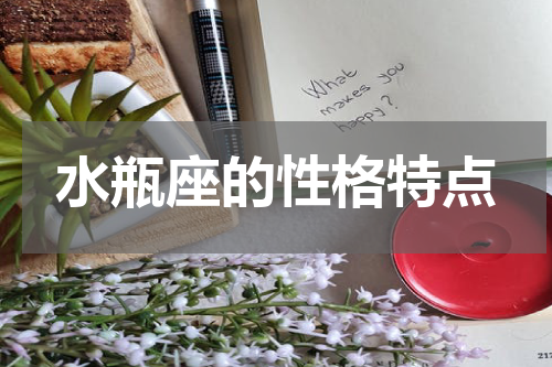 水瓶座的性格特点