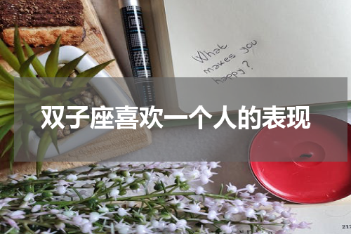 双子座喜欢一个人的表现