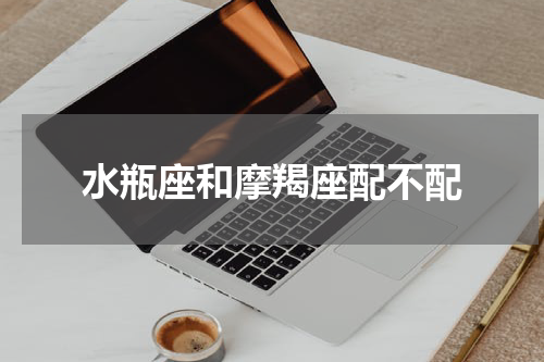 水瓶座和摩羯座配不配