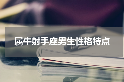 属牛射手座男生性格特点