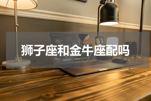 狮子座和金牛座配吗