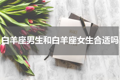 白羊座男生和白羊座女生合适吗