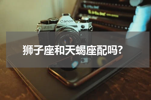 狮子座和天蝎座配吗?