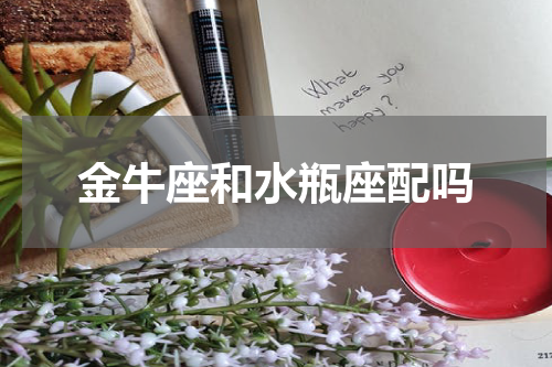 金牛座和水瓶座配吗