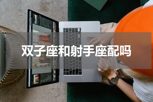 双子座和射手座配吗