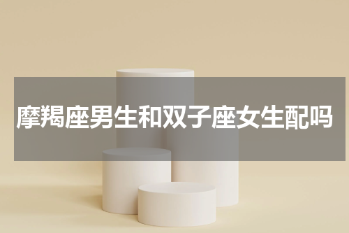 摩羯座男生和双子座女生配吗