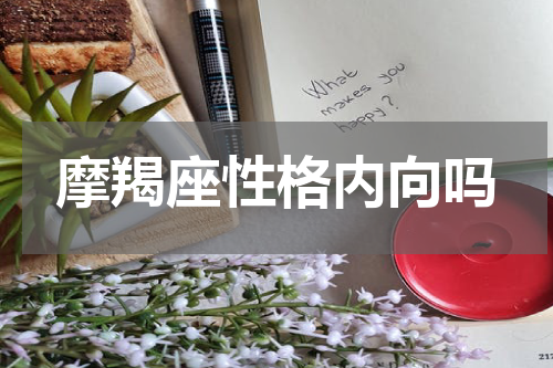 摩羯座性格内向吗