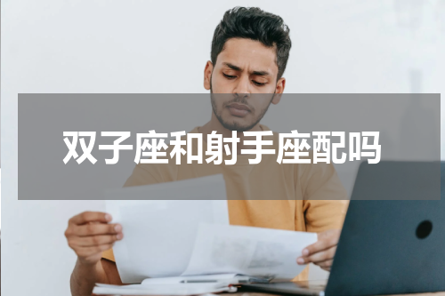 双子座和射手座配吗