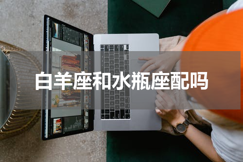 白羊座和水瓶座配吗