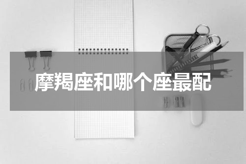 摩羯座和哪个座最配