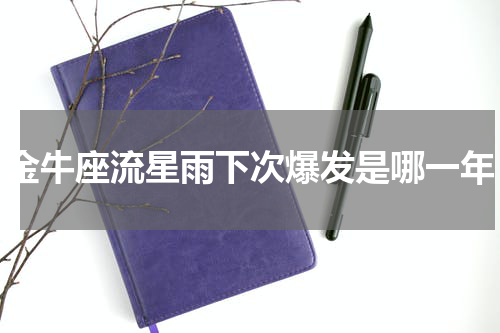 金牛座流星雨下次爆发是哪一年