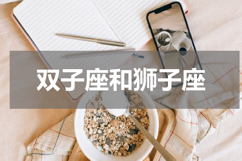 双子座和狮子座