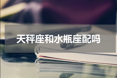 天秤座和水瓶座配吗