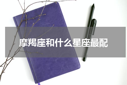 摩羯座和什么星座最配