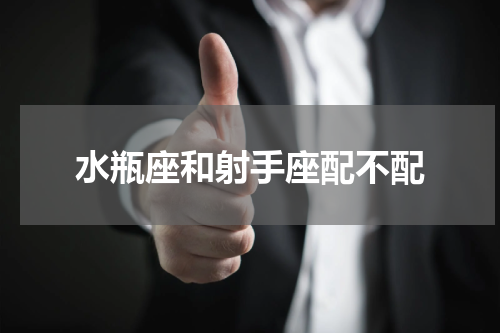 水瓶座和射手座配不配