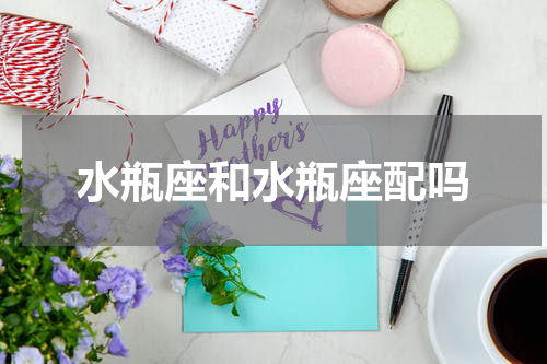 水瓶座和水瓶座配吗