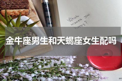 金牛座男生和天蝎座女生配吗