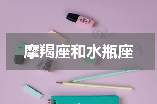 摩羯座和水瓶座