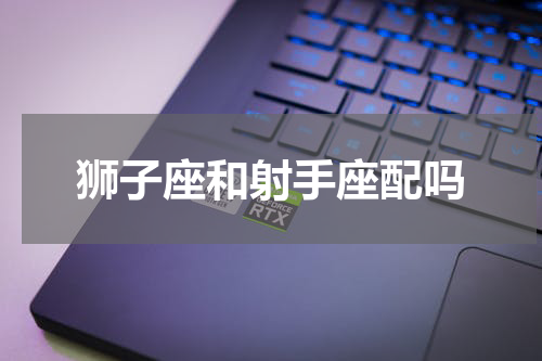 狮子座和射手座配吗