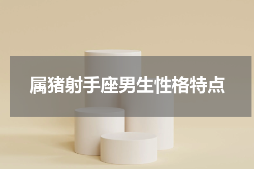 属猪射手座男生性格特点