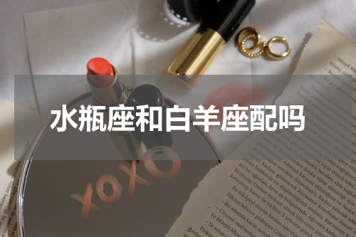 水瓶座和白羊座配吗