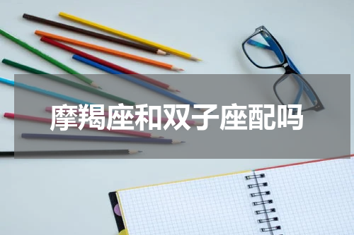 摩羯座和双子座配吗