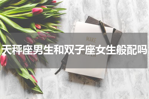 天秤座男生和双子座女生般配吗