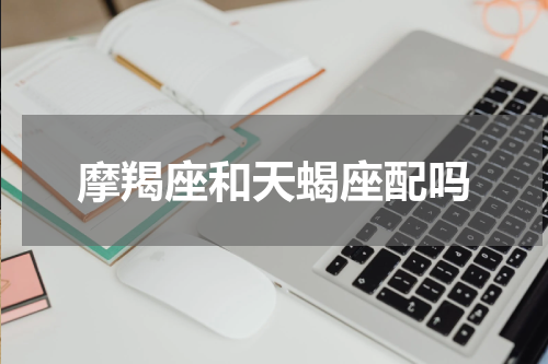 摩羯座和天蝎座配吗