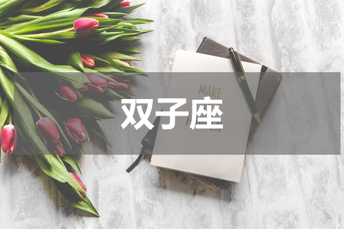 双子座
