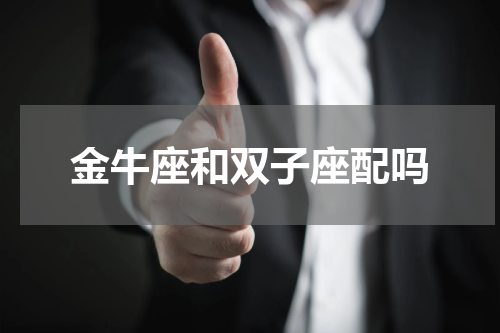金牛座和双子座配吗