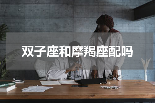 双子座和摩羯座配吗