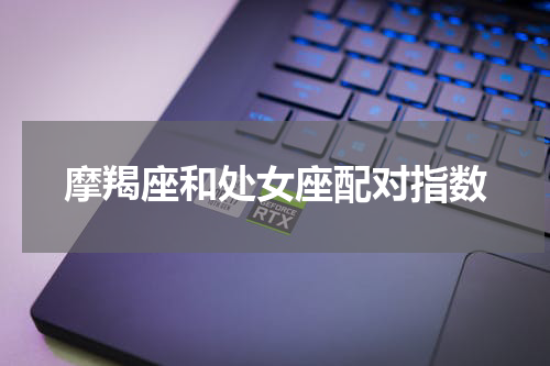 摩羯座和处女座配对指数