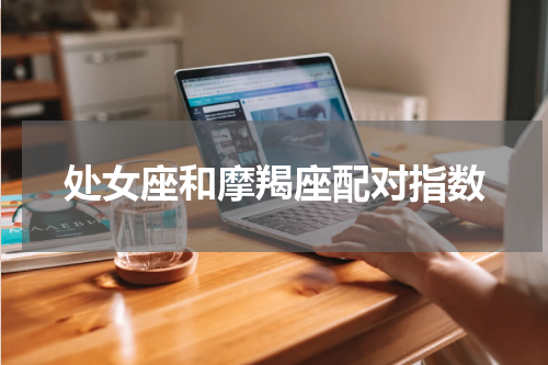 处女座和摩羯座配对指数