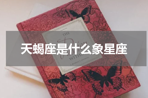天蝎座是什么象星座