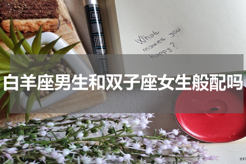 白羊座男生和双子座女生般配吗