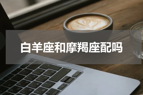 白羊座和摩羯座配吗