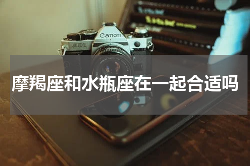 摩羯座和水瓶座在一起合适吗