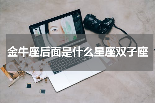 金牛座后面是什么星座双子座