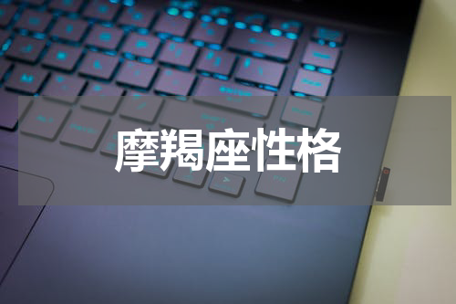 摩羯座性格