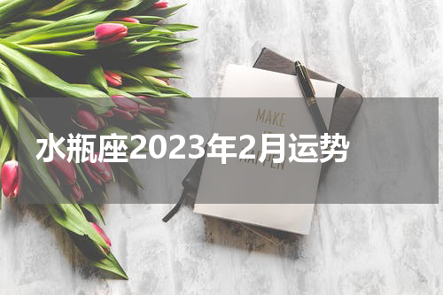 水瓶座2023年2月运势
