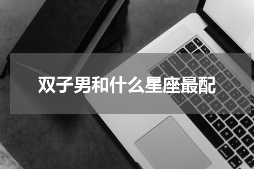 双子男和什么星座最配