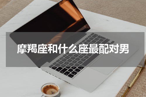 摩羯座和什么座最配对男